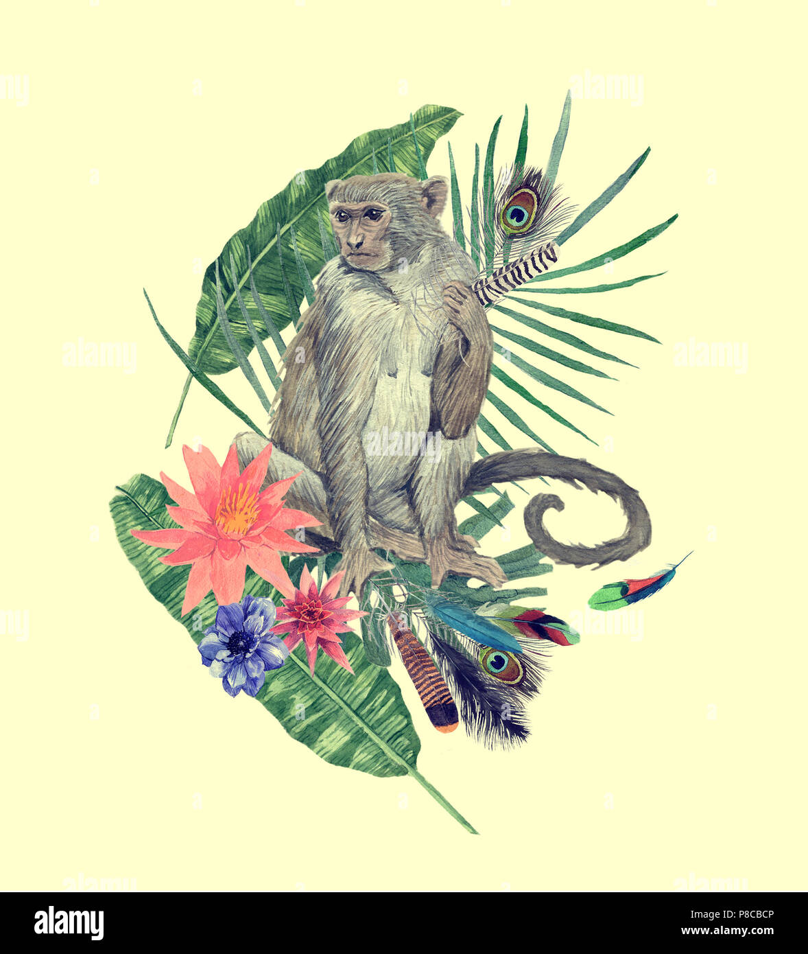 Watercolor hand drawn illustration with monkey, leaves, flowers, feathers. Stock Photo