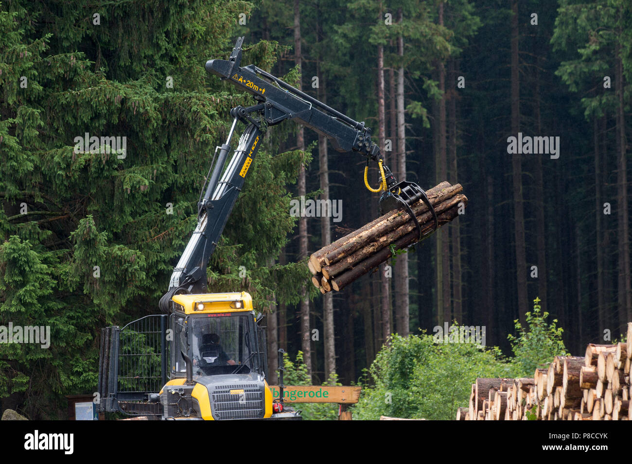 Drei Annen Hohne, Germany. 21st June, 2018. A bulldozer with gripper arm stacks spruce trunks, which were overturned during a storm. Getting rid of the bark is intended to destroy the habitat of the bark beetles. Heavy storms were raging several months ago over many parts of Germany and caused havoc in the forests. Now bark beetles are setting up residence in the overturned spruce trees. Credit: Klaus-Dietmar Gabbert/dpa-Zentralbild/dpa/Alamy Live News Stock Photo