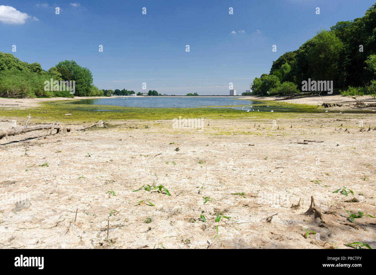 Edgbaston,Birmingham, UK. 11th July 2018. The continued dry weather in Birmingham has caused very low water levels at Edgbaston Reservoir which feeds the canal network. Credit: Nick Maslen/Alamy Live News Stock Photo