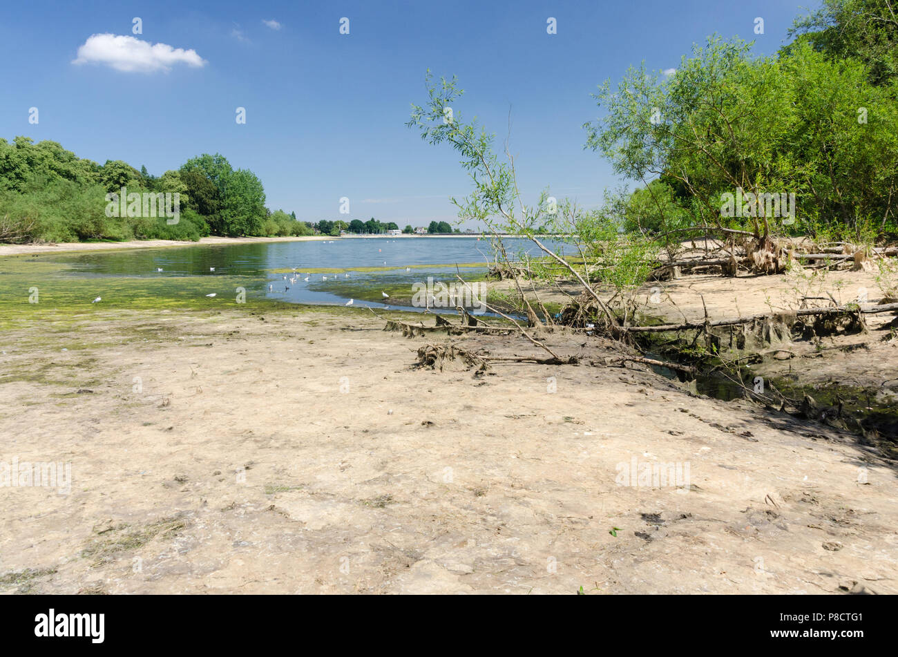 Edgbaston,Birmingham, UK. 11th July 2018. The continued dry weather in Birmingham has caused very low water levels at Edgbaston Reservoir which feeds the canal network. Credit: Nick Maslen/Alamy Live News Stock Photo