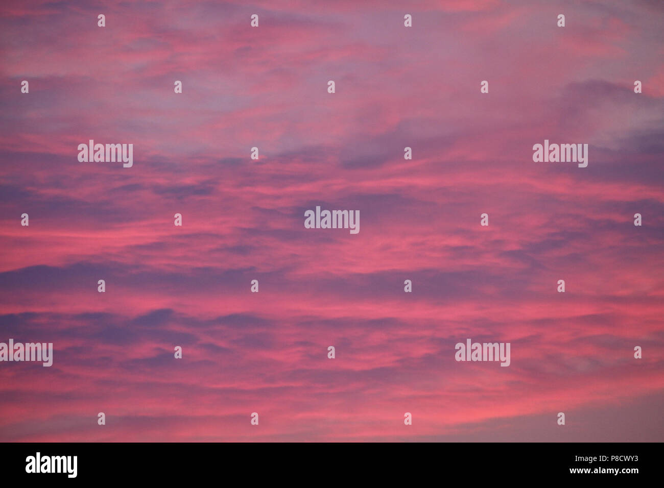 An unusual pink sky in divorces and blue spaces. Rarely such you will see . For your design Stock Photo