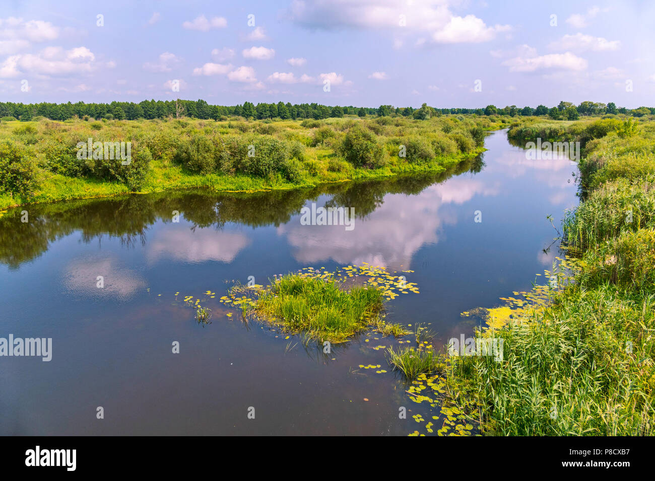 Countrysides Traditional Rivers A picturesque river in the countryside flowing between green bushes and ...