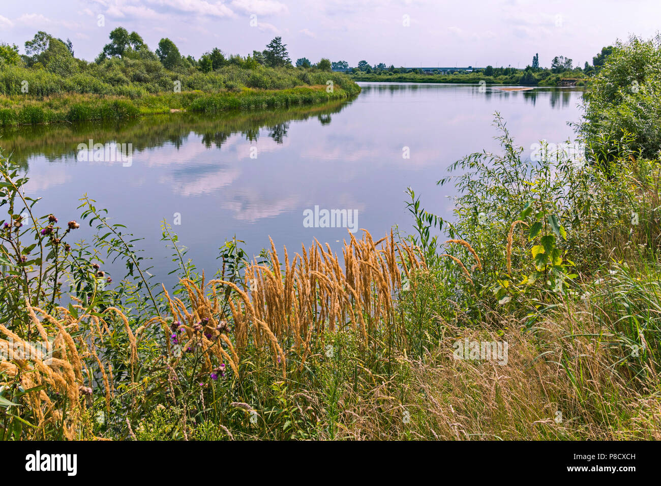 A beautiful view of the picturesque nature growing on the banks of a ...
