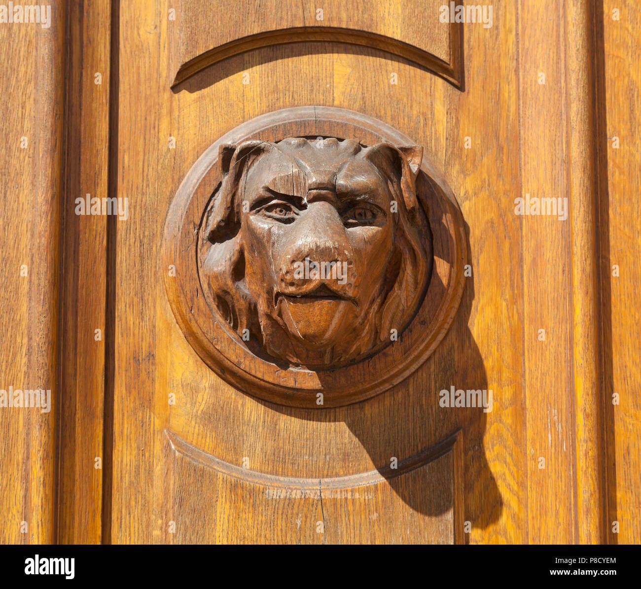 Carved wooden door handle, dogs face, bright sun Stock Photo