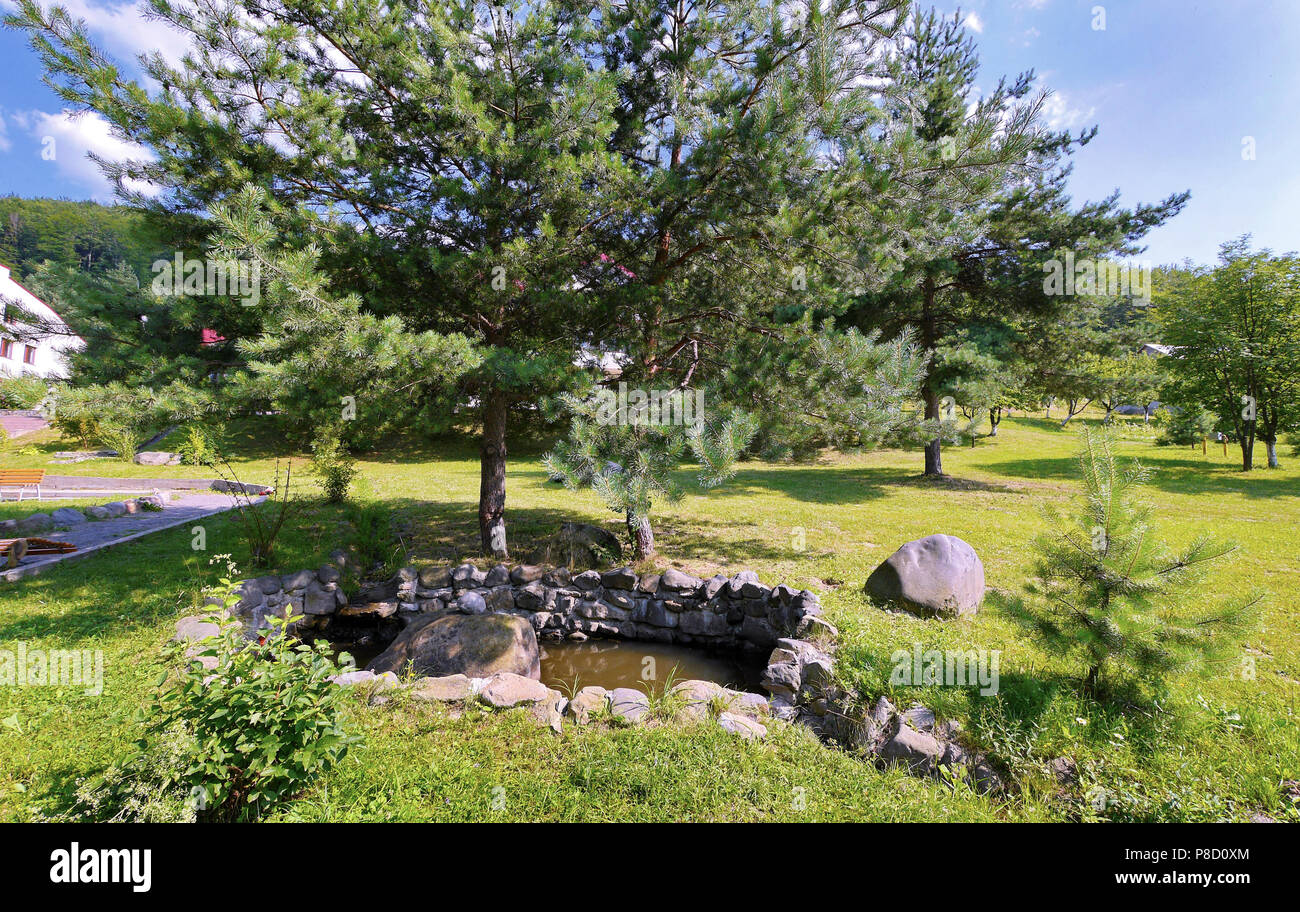 A Small Decorative Lake Surrounded By Stones Next To Large And