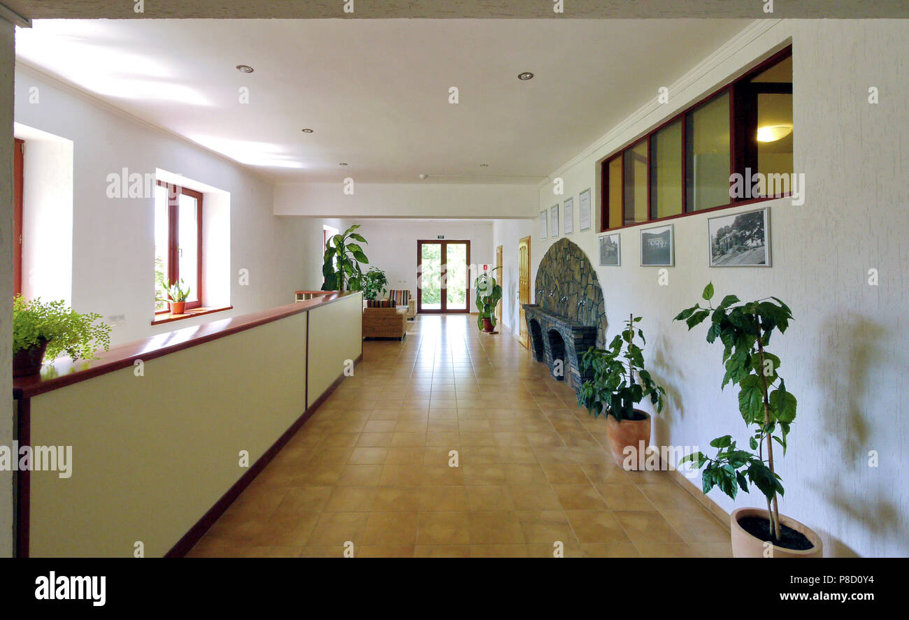 Bright Clear Foyer Decorated With Artificial Stone In The Form Of
