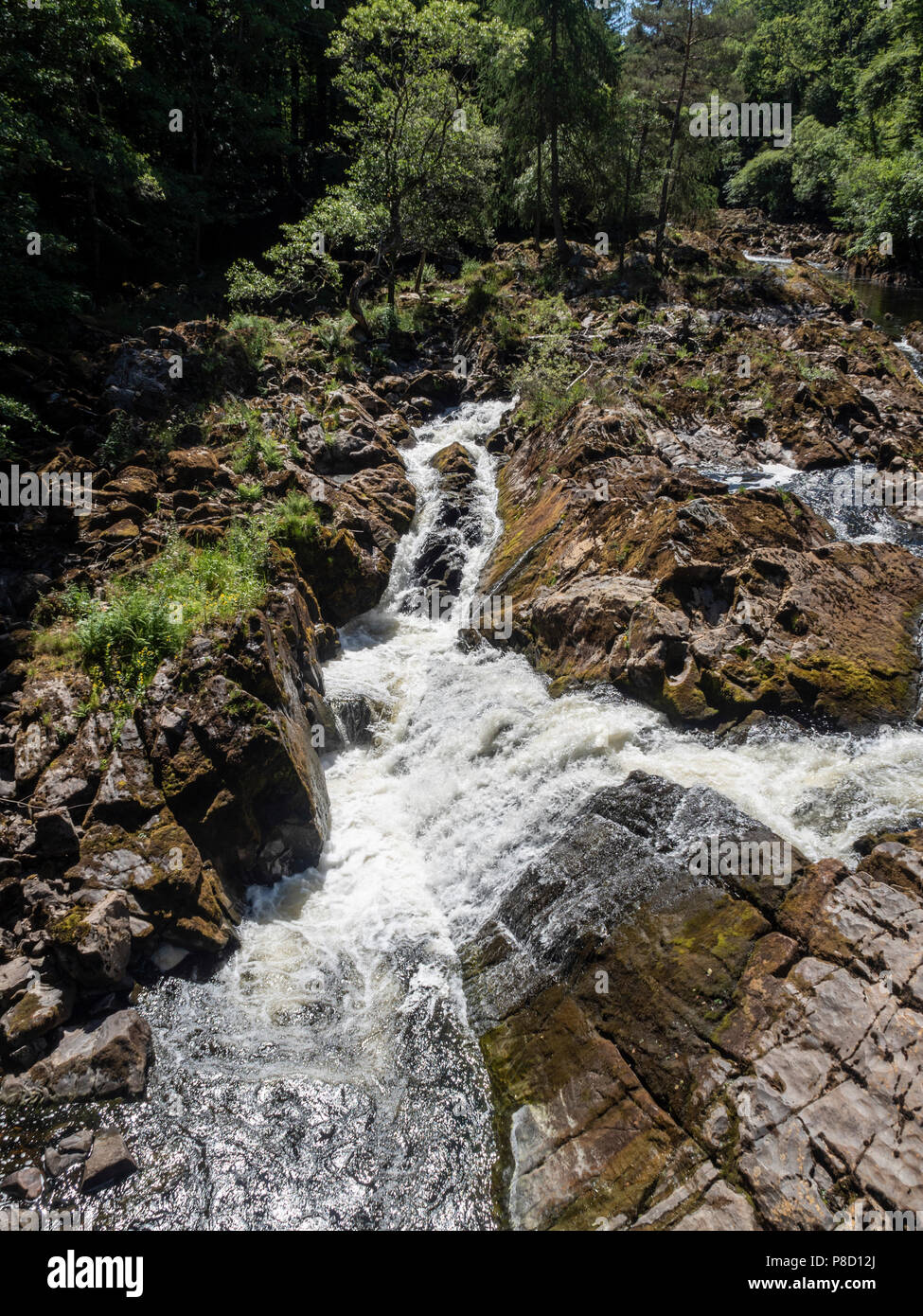 Royal Deeside, Aberdeenshire, Scotland - the Falls of Feugh. Stock Photo