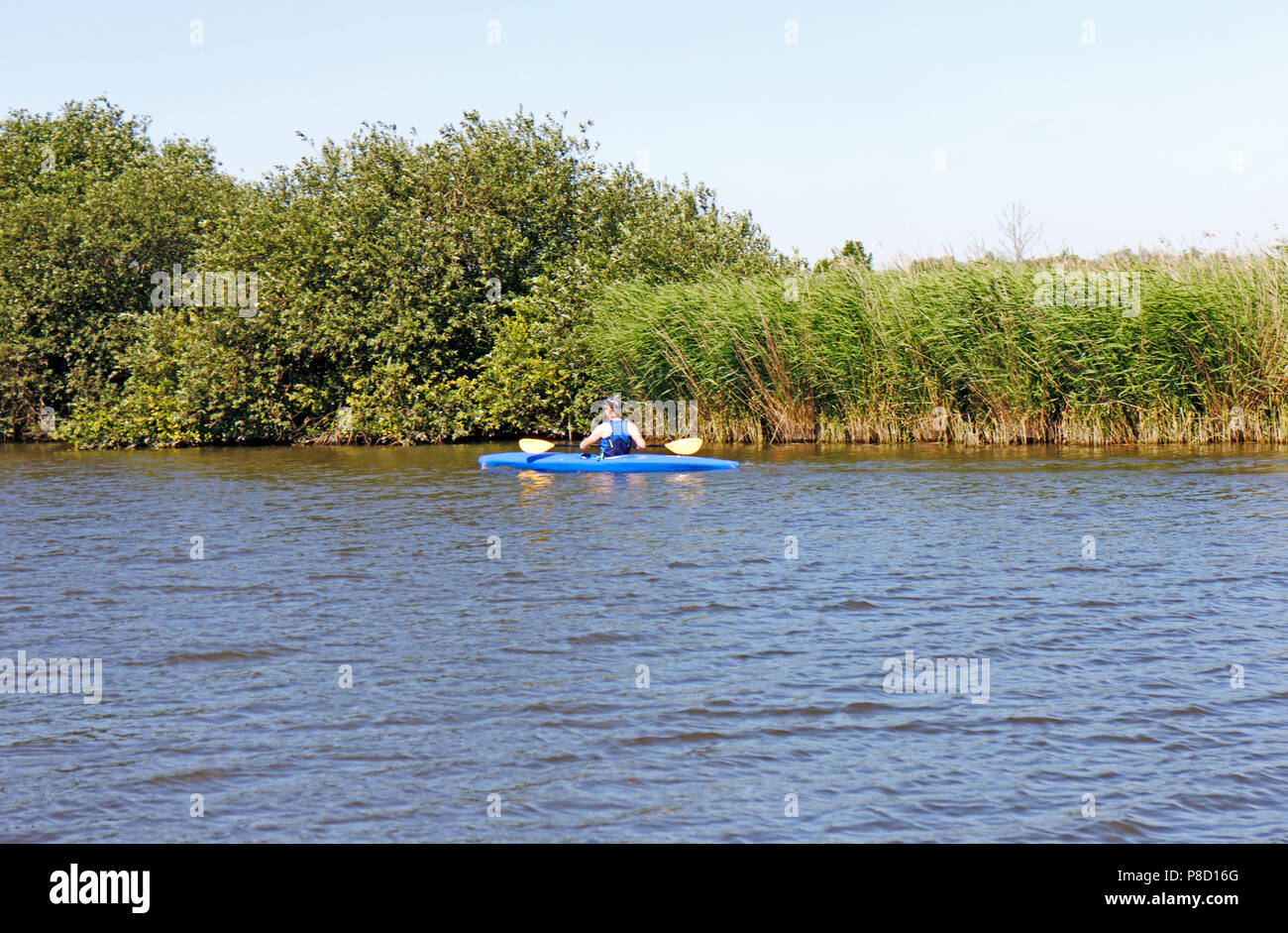 A canoeist on the River Bure on the Norfolk Broads at Horning, Norfolk, England, United Kingdom, Europe. Stock Photo