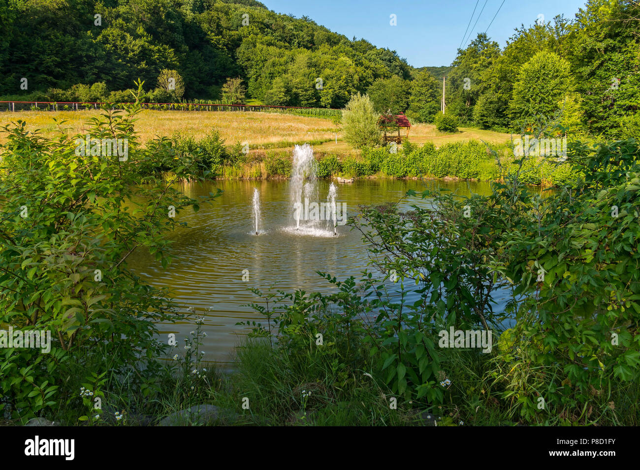 River channel with decorative fountain on the background of green trees and small shrubs . For your design Stock Photo
