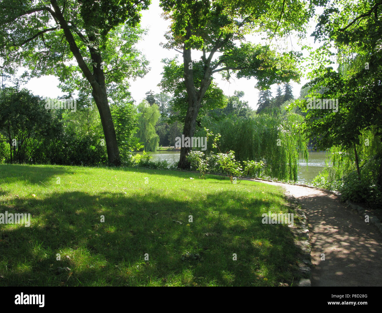 The lawn is in the shade, with a thick green grass around which the path goes. Behind the trees is a pond... . For your design Stock Photo