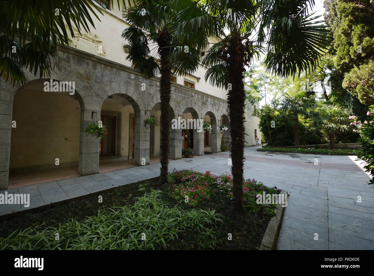 Large Decorative Flower Beds With Small Flowers And Huge Palm