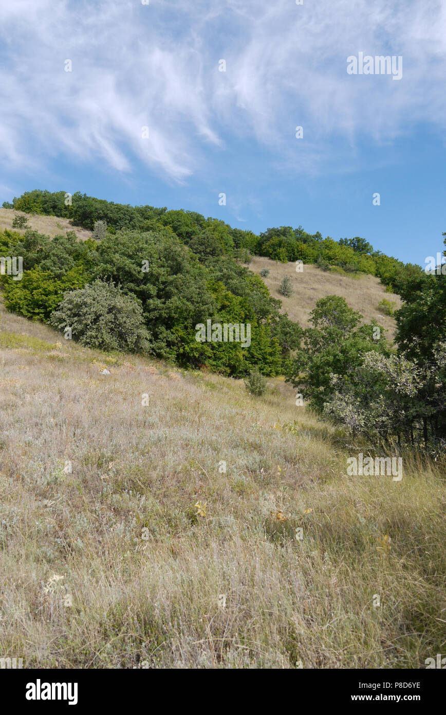 Pathway on hill wildflowers hi-res stock photography and images - Alamy
