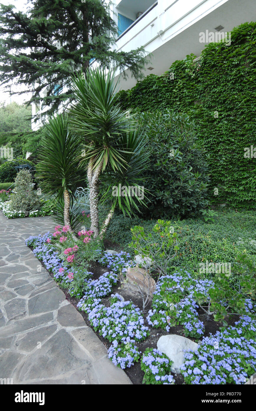 Flowerbed With Small Flowers Flower Beds And Ornamental Plants