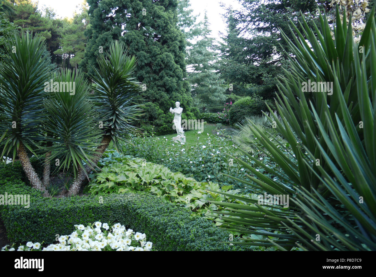 Beautiful Gentle Flowers In The Park Growing Amidst Lush Greenery And Tall Trees With A Statue