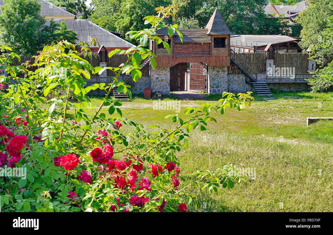 Beautiful fragrant red flowers on the background of an ancient fence