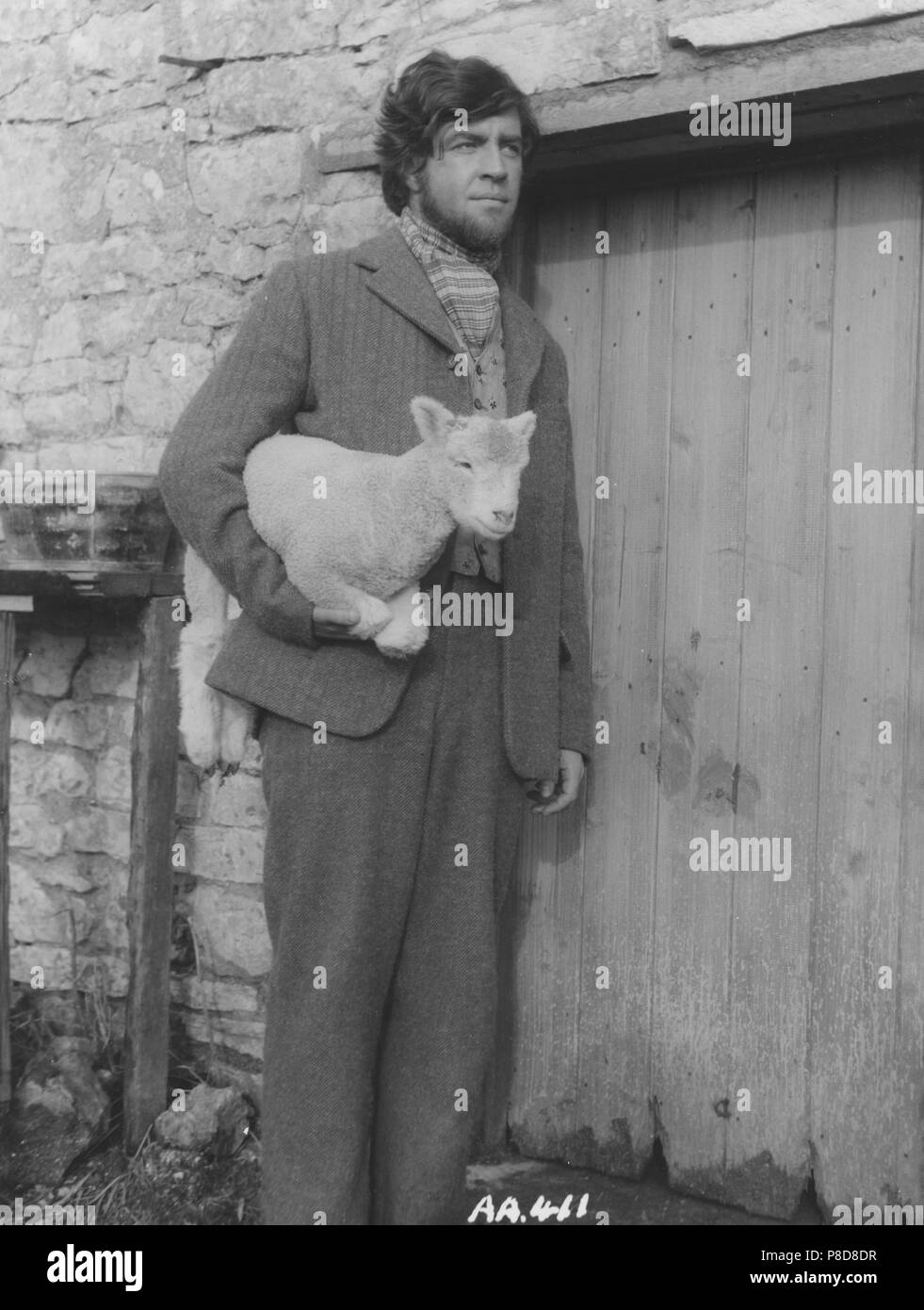 Far from the Madding Crowd (1968) Alan Bates, Date: 1968 Stock Photo ...