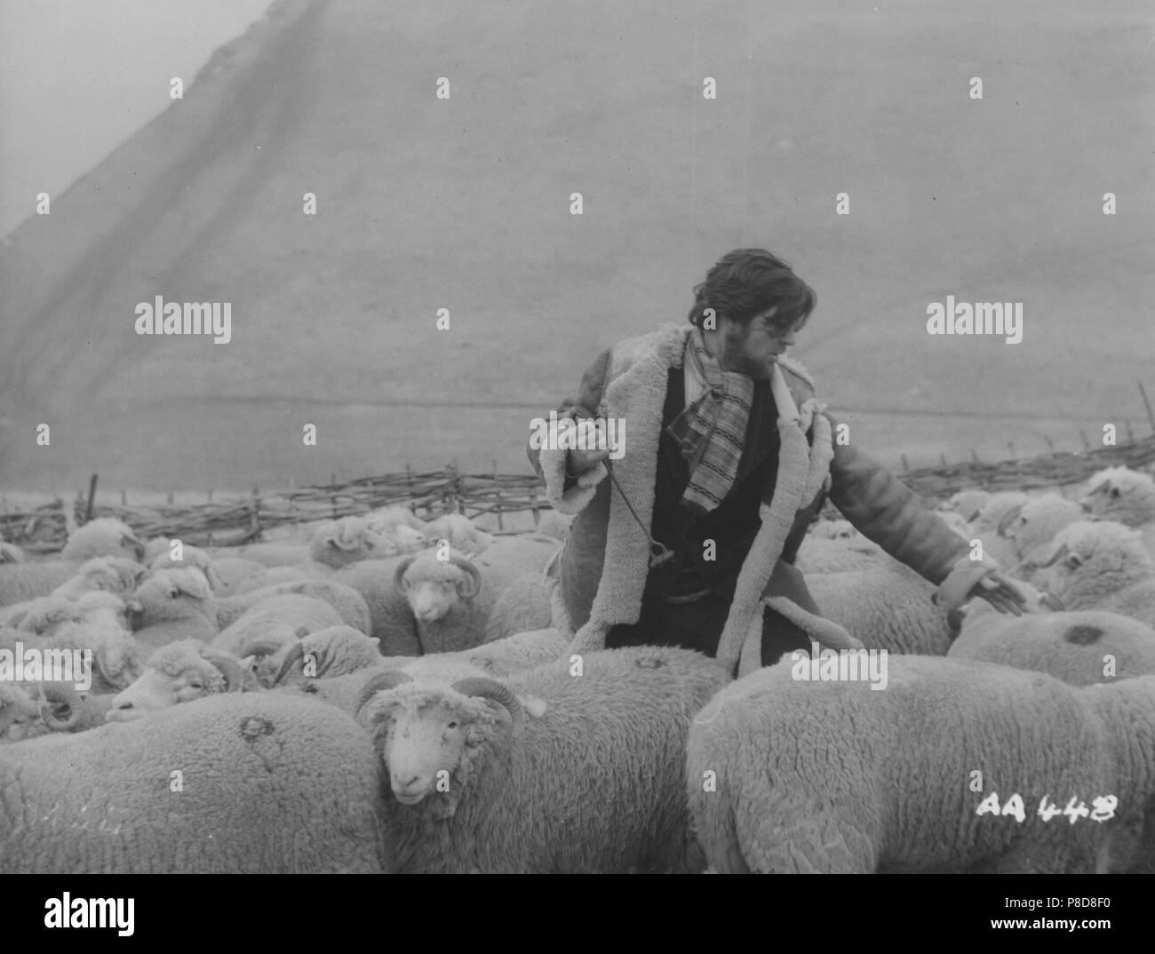 Far from the madding crowd 1968 alan bates hi-res stock photography and ...