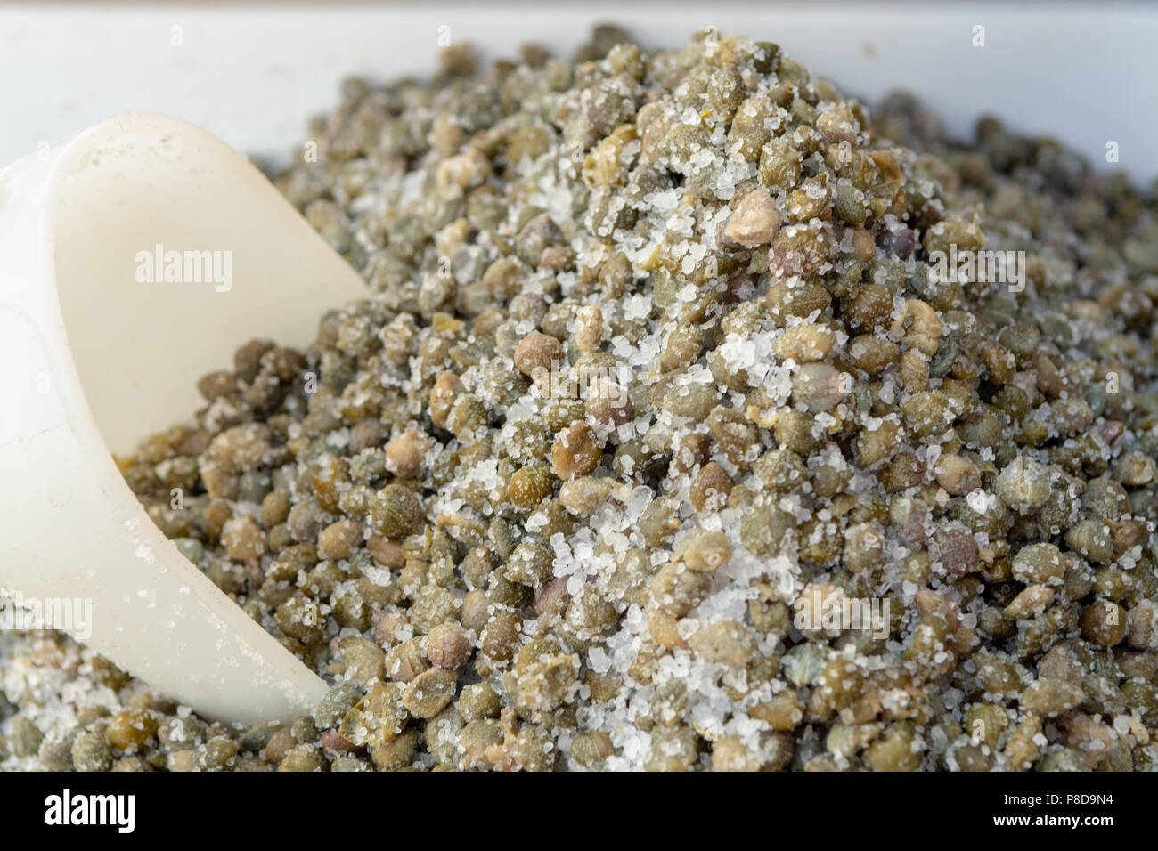 Important ingredient in traditional Italian cuisine, salted capers