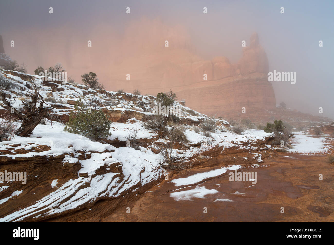 Snow and fog blanketing the main wash in the Park Avenue Trail. Arches National Park, Utah Stock Photo