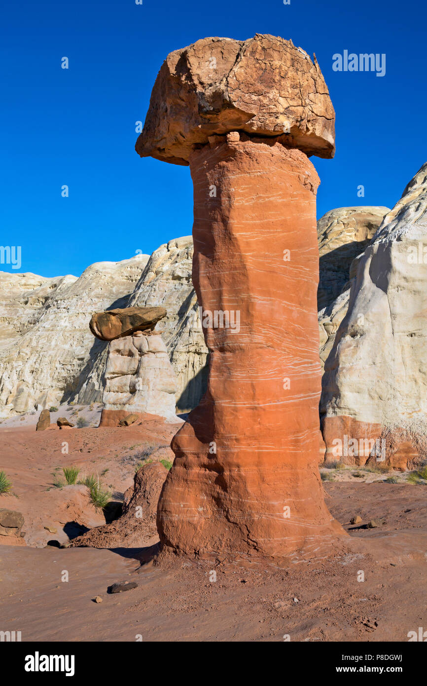 UTAH - The Toadstools where harden boulders roll down from the cliffs above and protect the softer sandstone underneath from erosion. Stock Photo