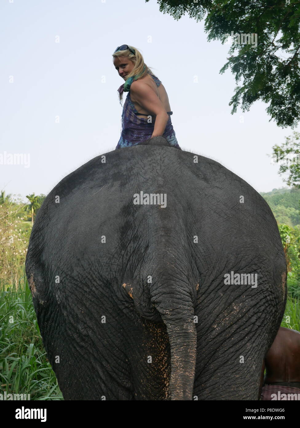 A tourist rides an elephant at an elephant park near Kandy, Sri Lanka