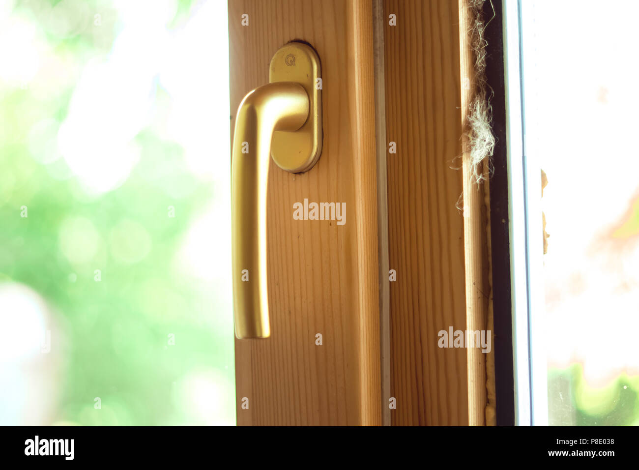 Window Handle Opening On Wooden Window Greens Outside The Window