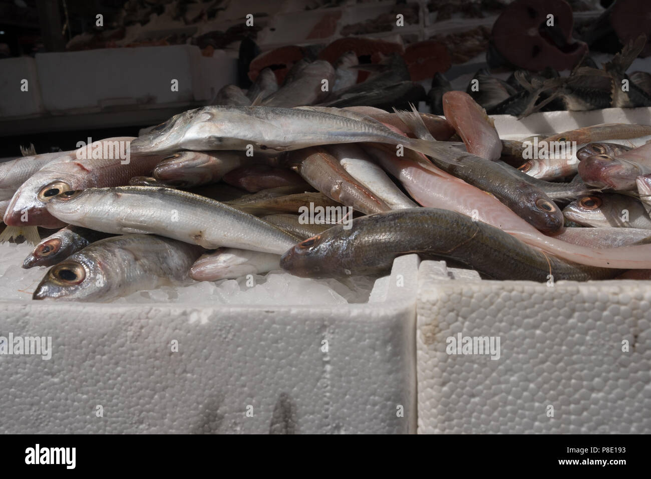 Pesce Azzurro Stock Photos Pesce Azzurro Stock Images Alamy