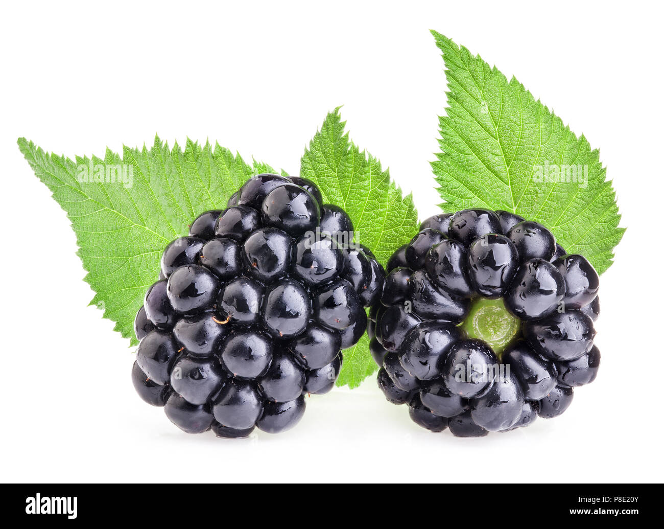 Blackberry with leaves isolated on white background, closeup, macro Stock Photo