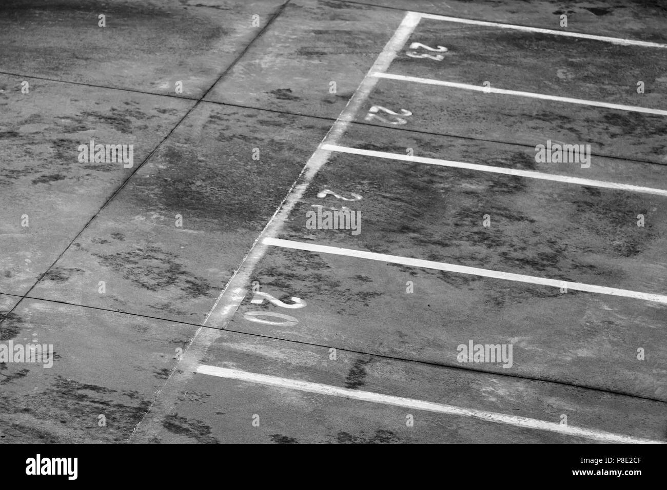 Ferry terminal loading port area, road marking with lane numbers and dividing lines on dirty gray asphalt Stock Photo