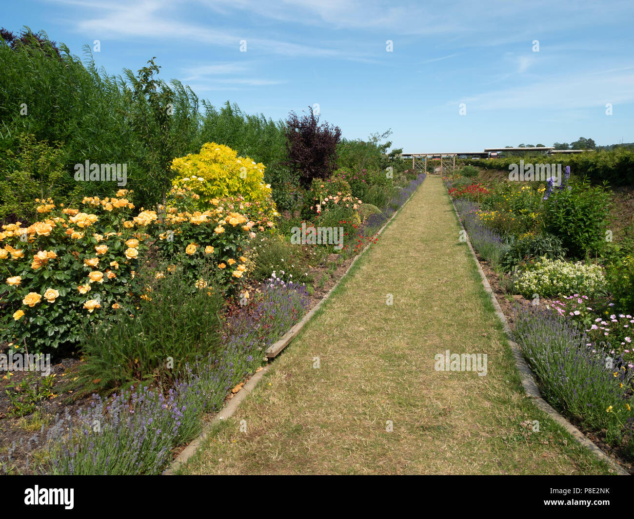 Chain Bridge Honey Farm, Horncliffe, BerwickuponTweed. The beekeeper