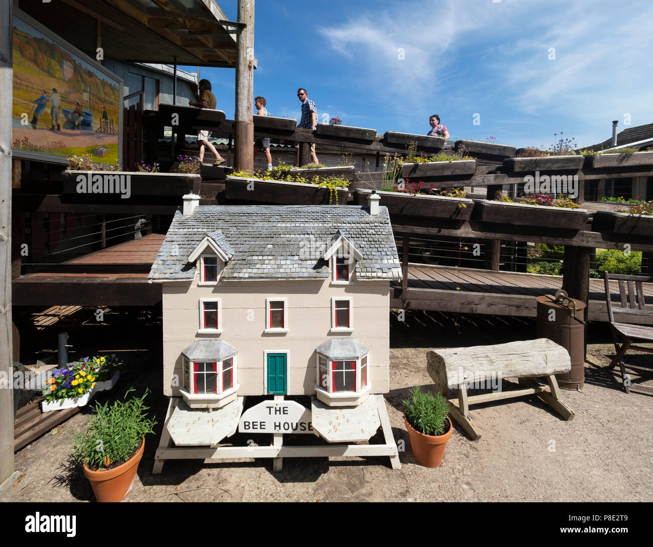 Chain Bridge Honey Farm, Horncliffe, Berwick-upon-Tweed. Miniature house  hive, the Bee House Stock Photo - Alamy