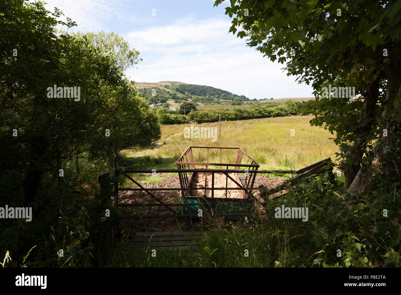 Farm trailer in field, Llanllyfni, Gwynedd Stock Photo