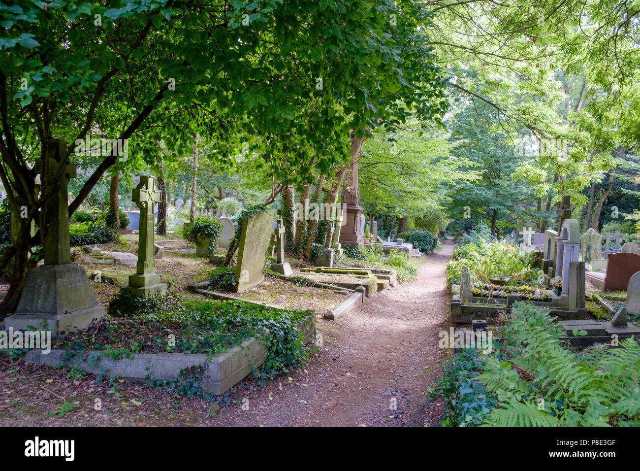 Highgate Cemetery, London Stock Photo Alamy