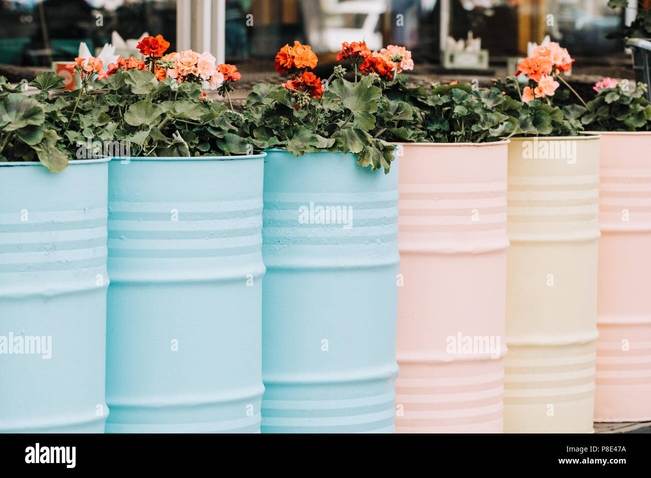 Old Metal Containers Reuse As Flower Beds Like Decoration On The