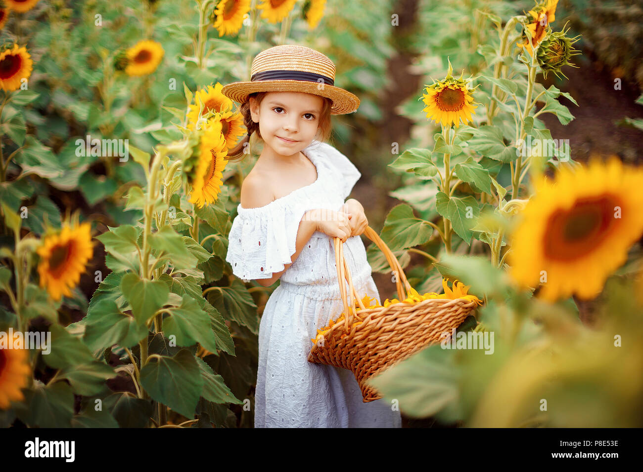 Portrait happy child girl in white dress, straw hat with a basket of sunflowers smiling and looking at camera. Sunny light playing onfield. Family outdoor lifestyle. Summer cozy mood. Stock Photo