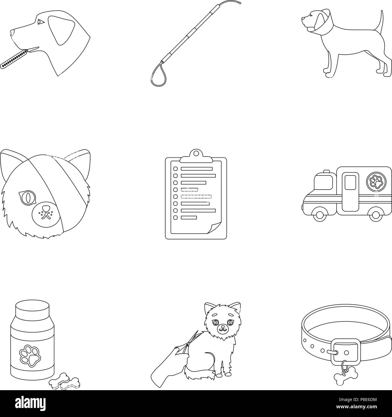 Vet clinic. Treatment of sick animals. Hospital for animals.Vet clinic