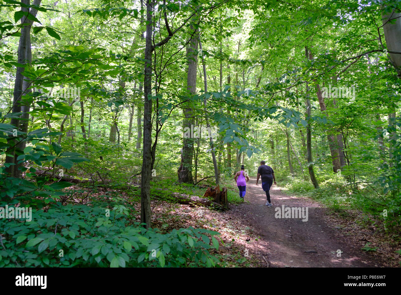 Wissahickon Valley Park hiking path in  Northwest Philadelphia near Chestnut Hill , Pennsylvania, USA Stock Photo