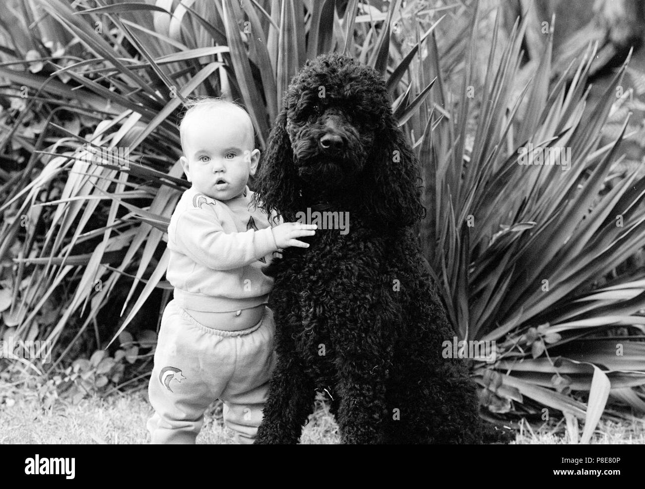 Frances (1982) Date 1982 Stock Photo Alamy