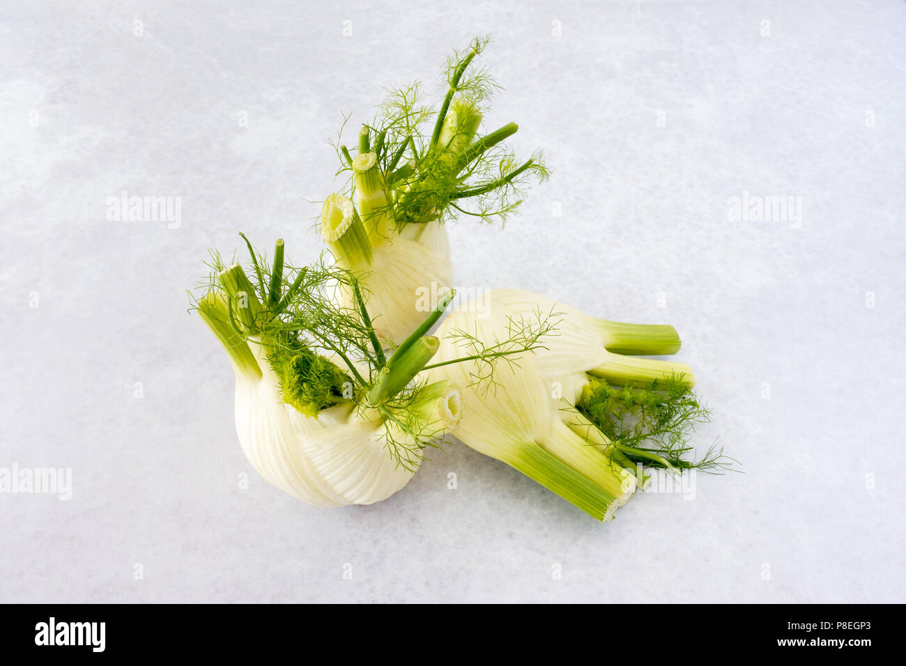 Closeup of three whole fennel bulbs with fronds on professional light