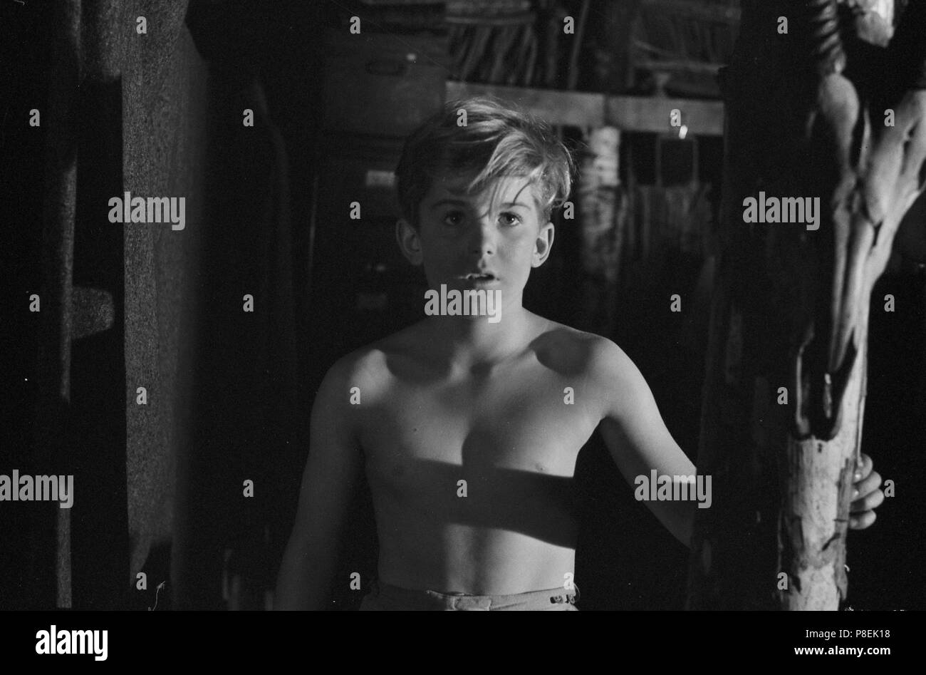 Sammy Going South (1963) Fergus McClelland, Date: 1963 Stock Photo - Alamy