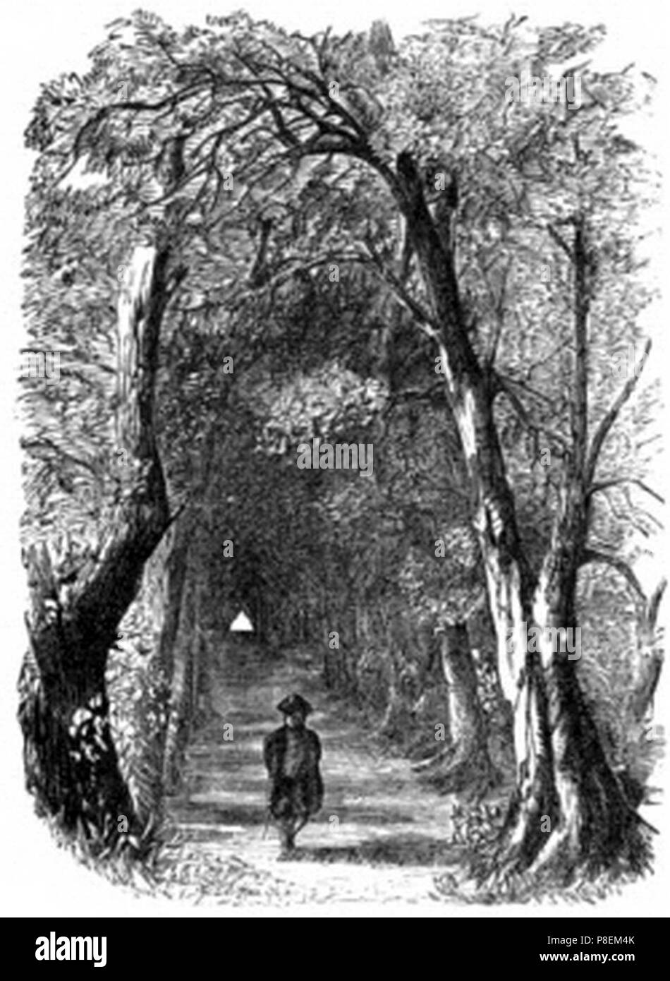 Addison’s walk hires stock photography and images Alamy