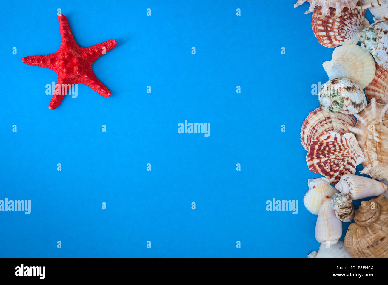 top view sea shells frame and starfish round empty blue board Stock ...