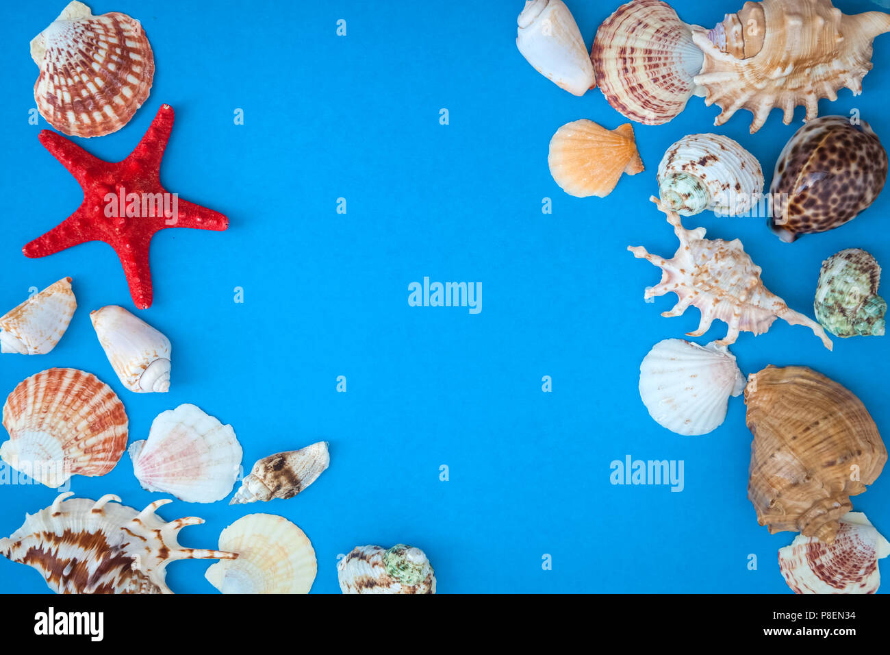 top view sea shells frame and starfish round empty blue board Stock ...