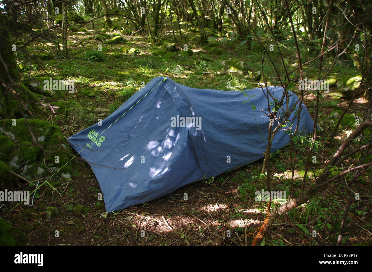 Black Rock Nature Reserve Wild Camping Cheddar Gorge John O Groats Duncansby Head To Lands End End To End Trail Somerset England Uk Stock Photo Alamy