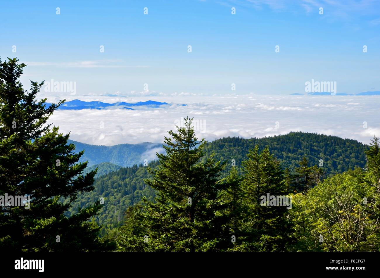 North carolina state line great smoky mountains national park hires