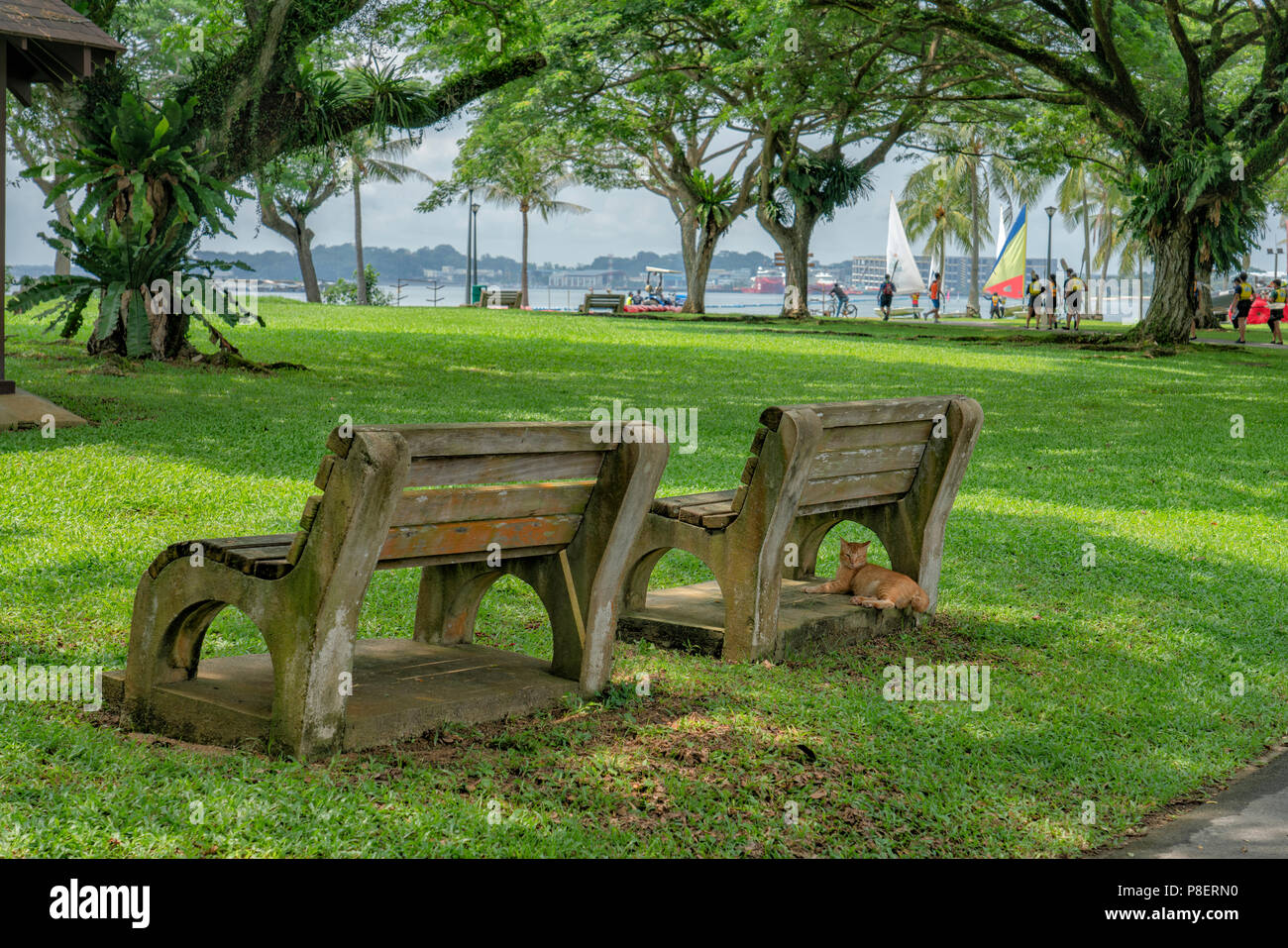 Singapore - July 8,2018: Pasir Ris Park Benches With A Yellow Cat ...