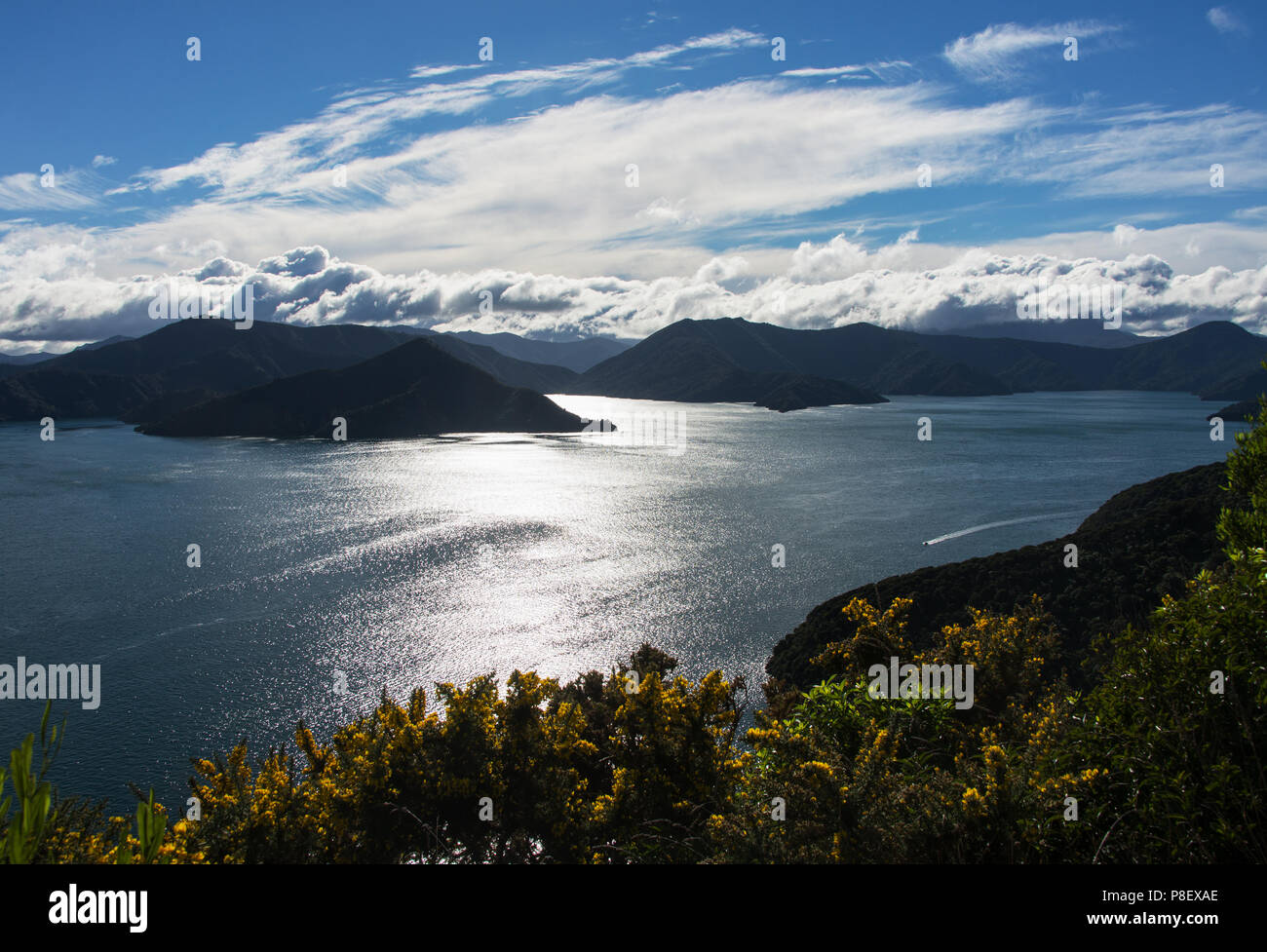 Looking out over the Marlborough Sounds from the Snout Walkway in Picton Stock Photo