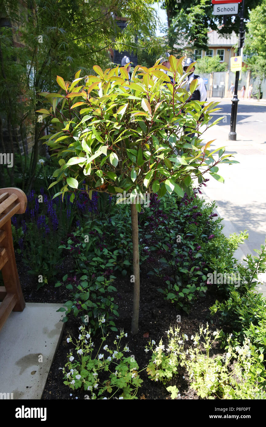 Grenfell Memorial Garden High Resolution Stock Photography and Images