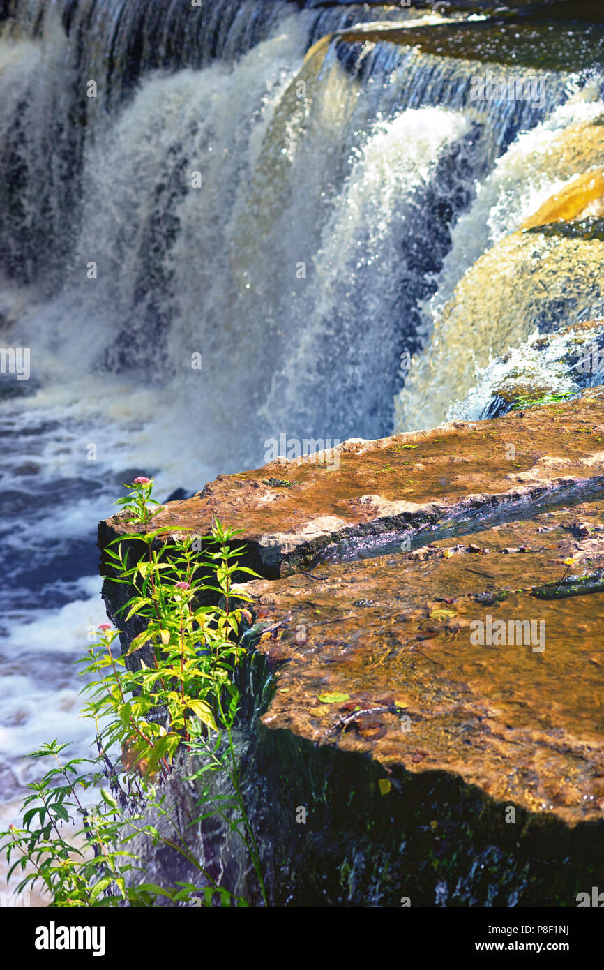River stream flowing among stones hi-res stock photography and images ...