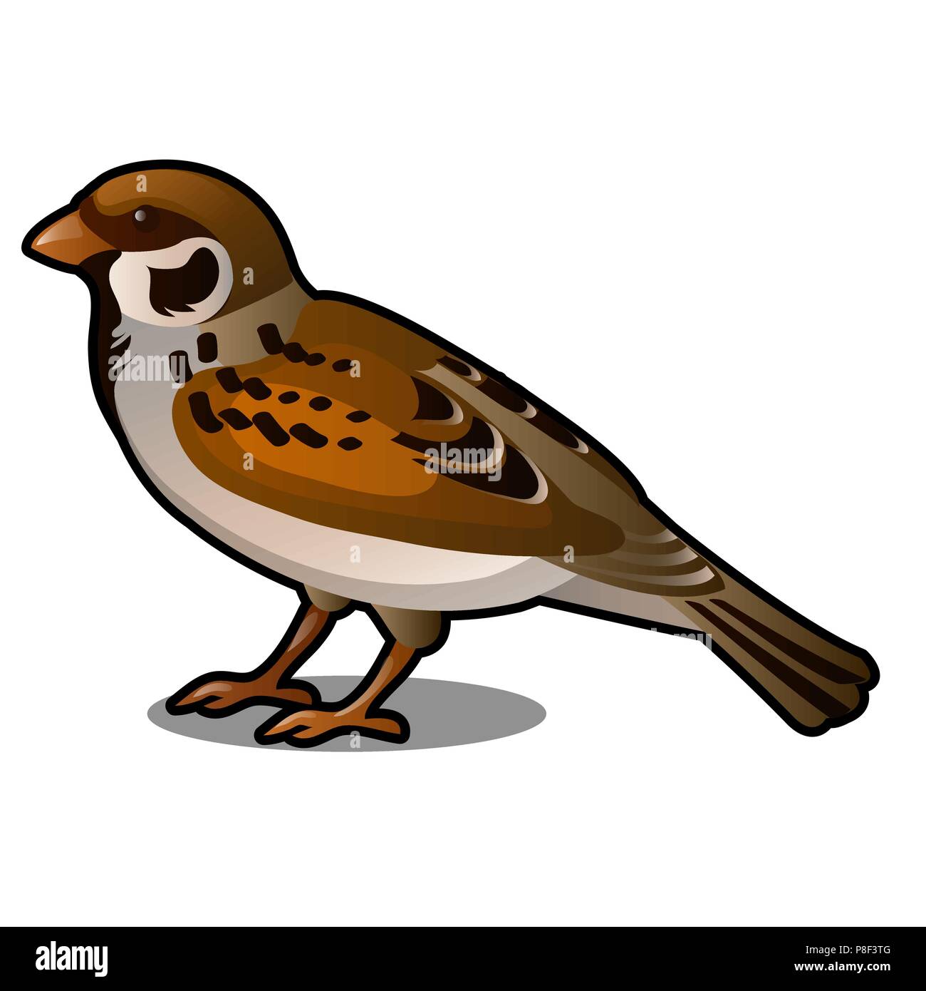Brown Sparrow isolated on a white background. Vector cartoon close-up illustration. Stock Vector